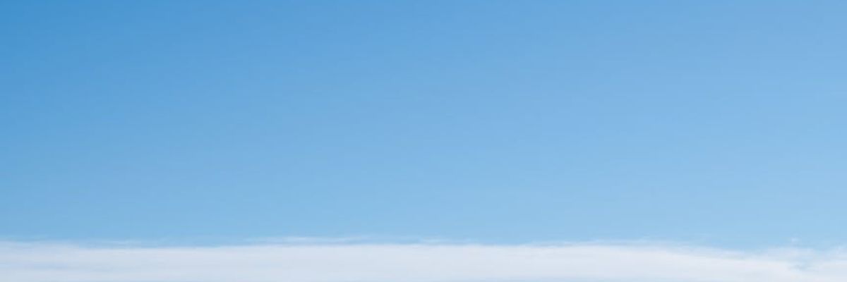 Wide landscape representing broad visual field and freedom